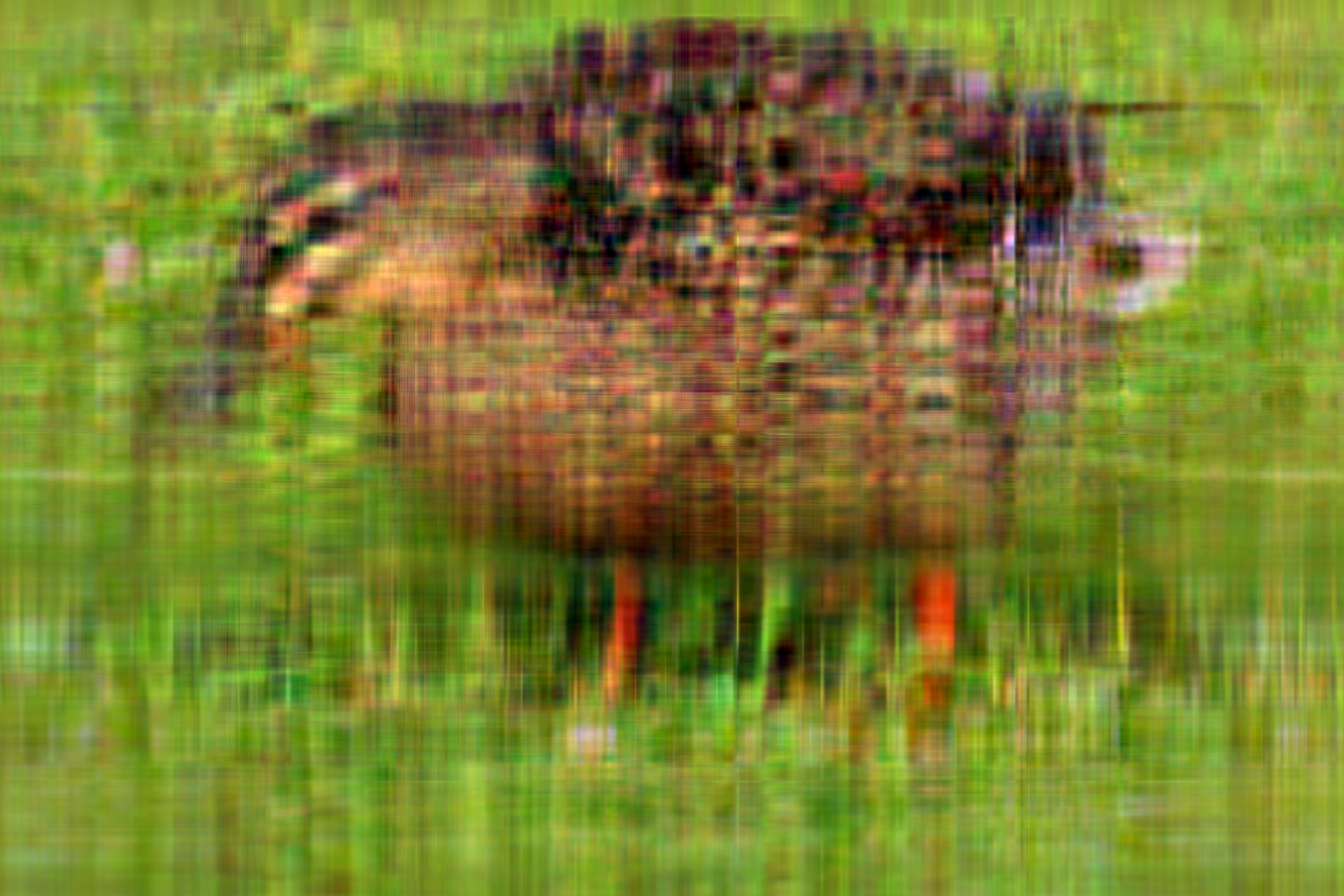 Imagem comprimida com k = 10. Tamanho: 1,2MB (Compressão de 83,78%).