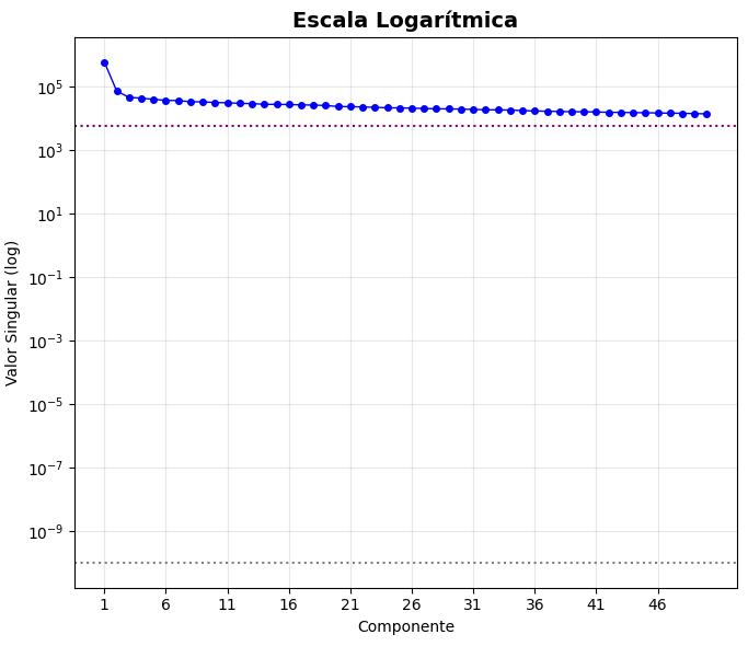 Valores singulares (em escala logarítmica) e componentes correspondentes da matriz da imagem em escala de cinza.